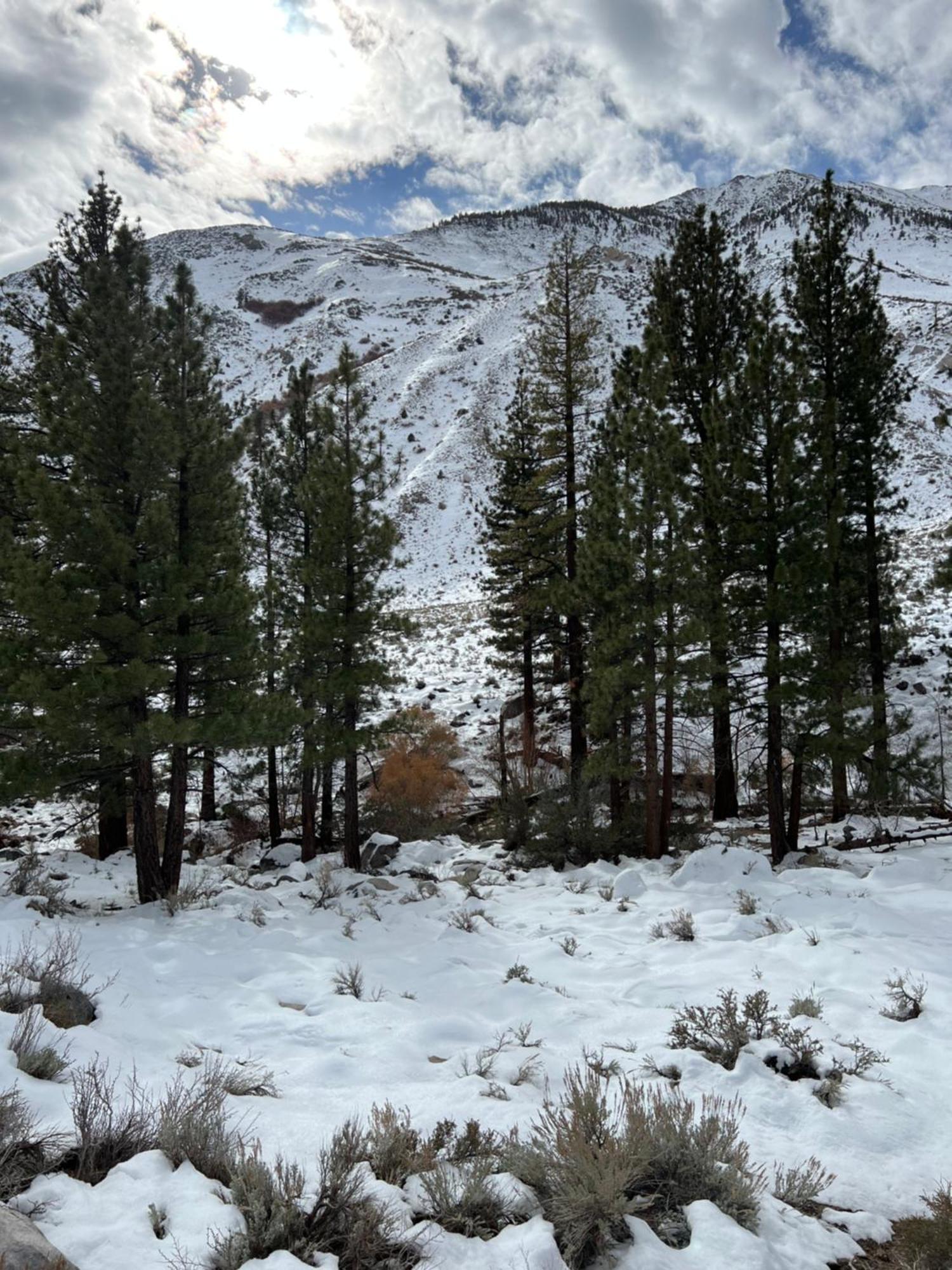 星光汽车旅馆 大派恩 外观 照片